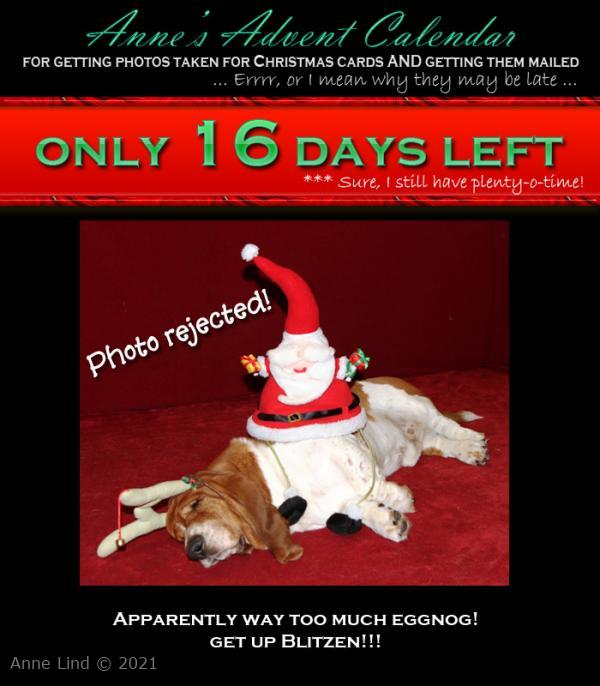 Christmas photo fiasco, take 8