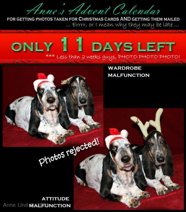 Christmas photo fiasco, take 13