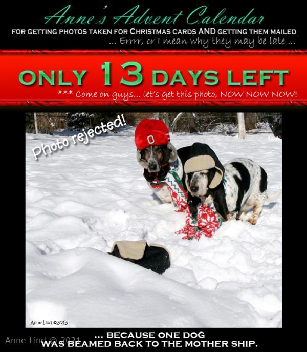 Christmas photo distaster