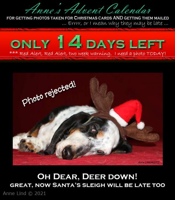 Christmas photo fiasco, take 10