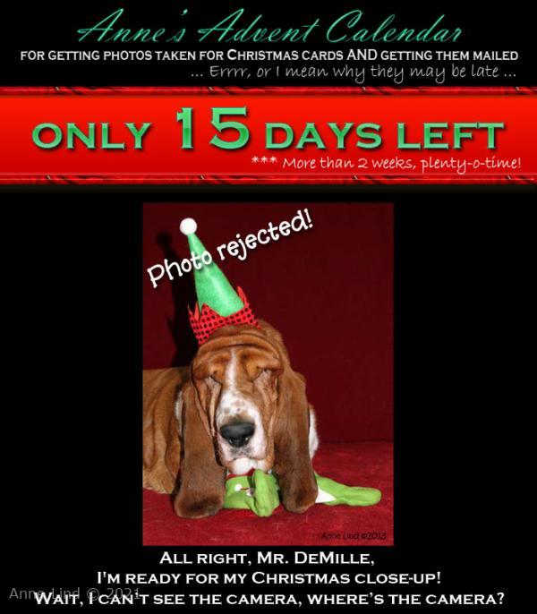 Christmas photo fiasco, take 9