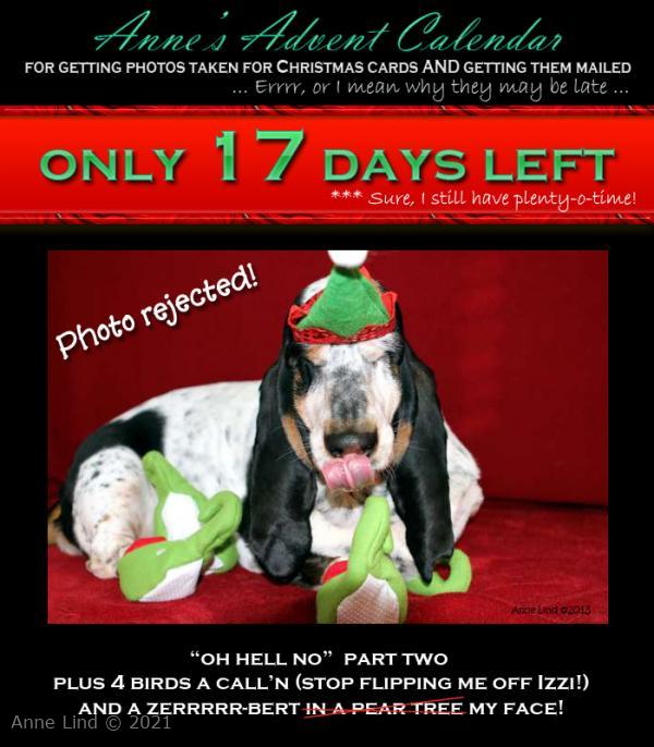 Christmas photo fiasco, take 6