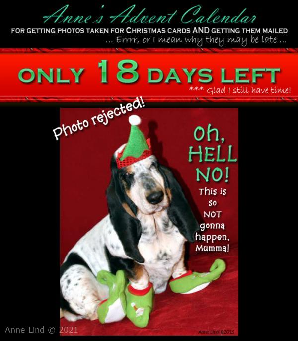 Christmas photo fiasco, take 6