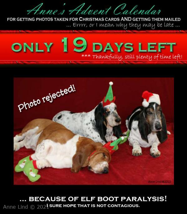 Christmas photo fiasco, take 5