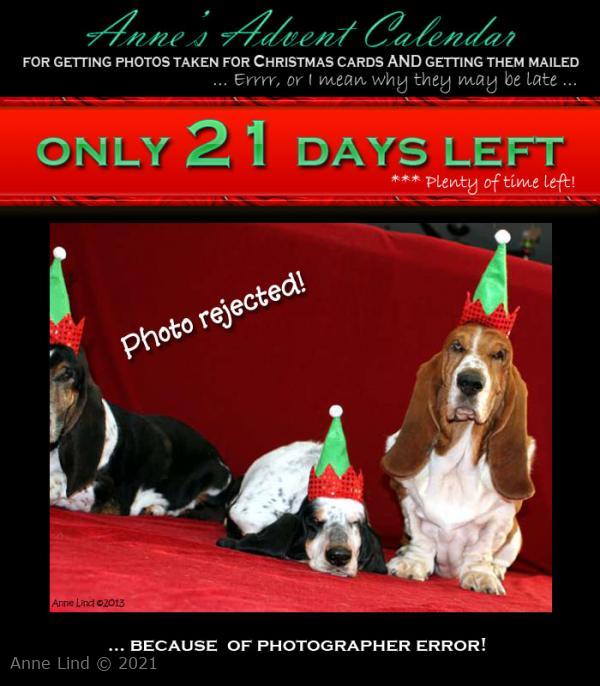 Christmas photo fiasco, take 3