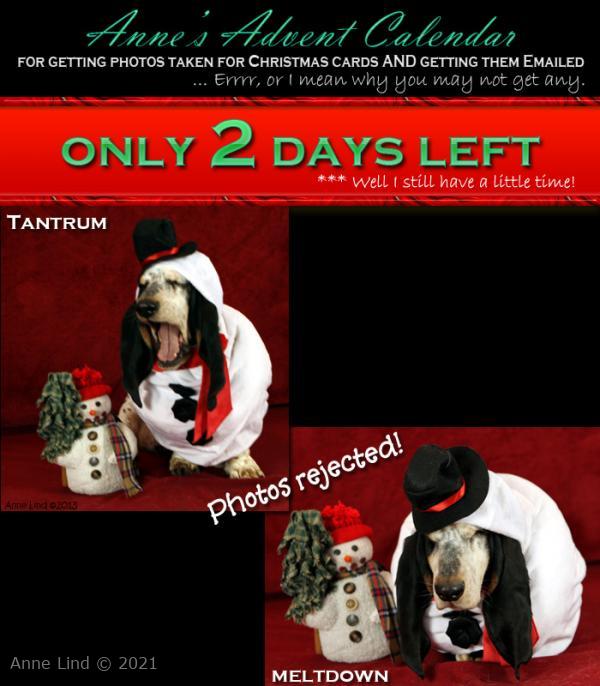 Christmas photo fiasco, take 21