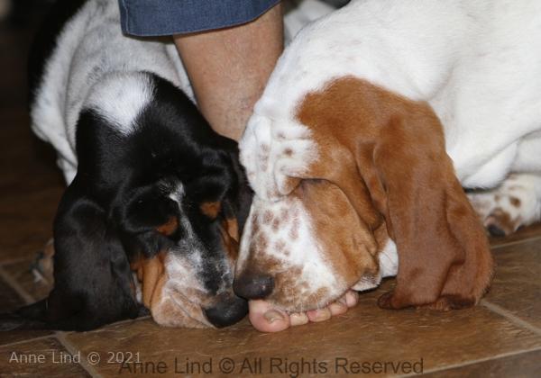 vacation at Jane's house 2015