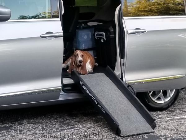 Nooge in the new Pacifica