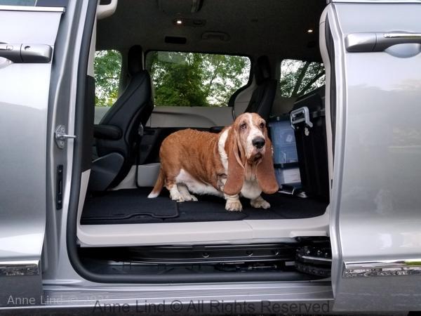 Nooge in the new Pacifica