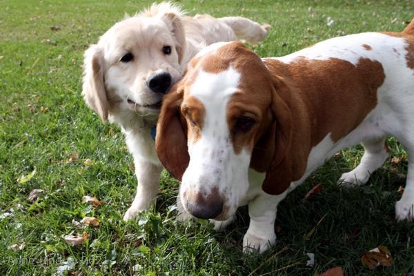 Naomi and Tucker