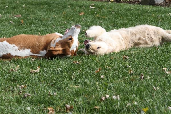 Naomi and Tucker