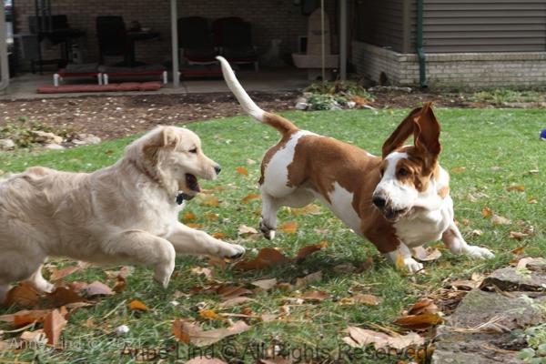 Naomi and Tucker