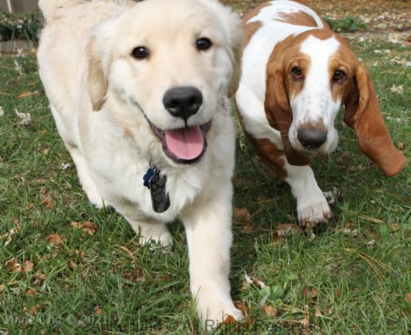 Naomi and Tucker