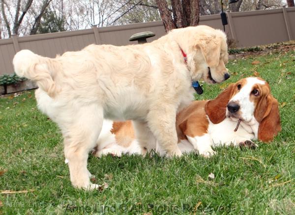 Naomi and Tucker