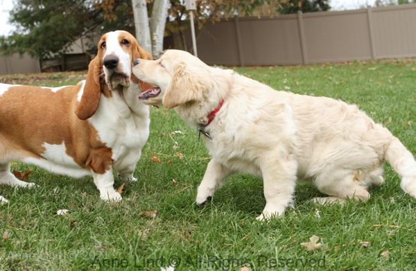 Naomi and Tucker