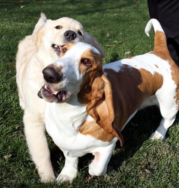 Naomi and Tucker