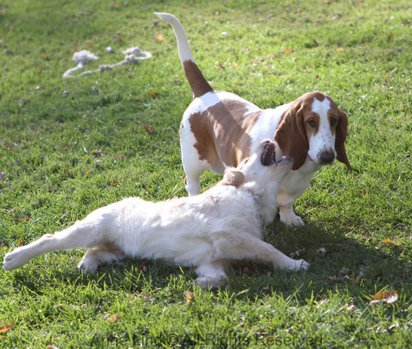 Naomi and Tucker