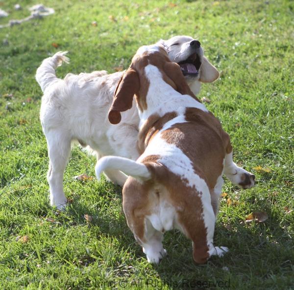 Naomi and Tucker