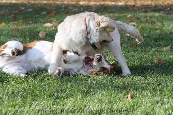 Naomi and Tucker