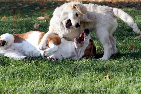 Naomi and Tucker