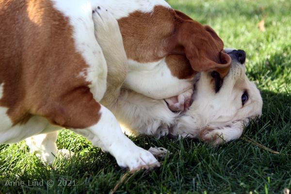Naomi and Tucker