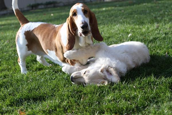 Naomi and Tucker