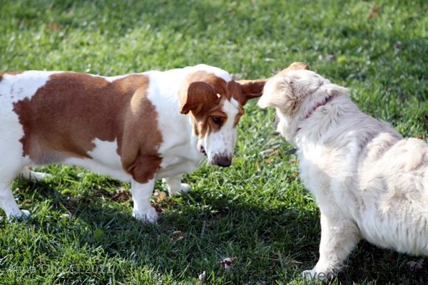 Naomi and Tucker
