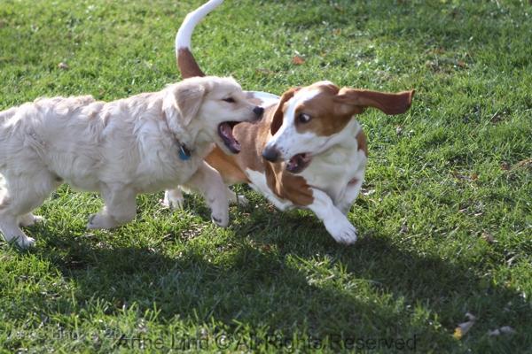 Naomi and Tucker