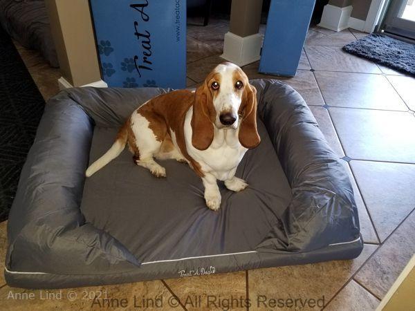 Naomi on her new bed