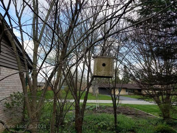 Bird house from old cedar fencing