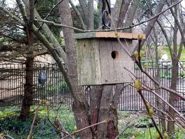Bird house from old cedar fencing