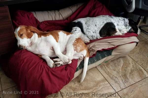 Izzi and Naomi