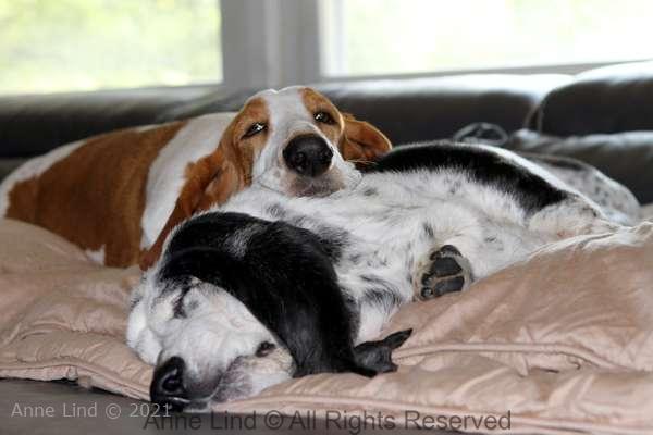 Izzi and Naomi