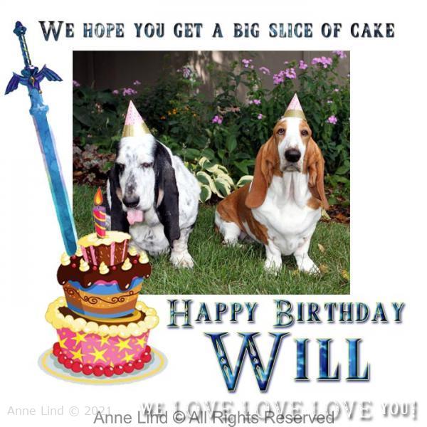 Will's Birthday