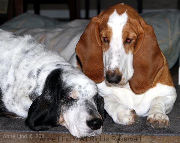 Izzi and Naomi
