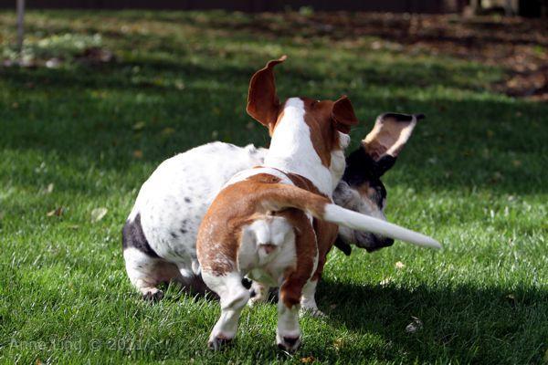 Izzi and Naomi playing