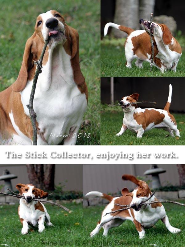 Naomi playing with sticks
