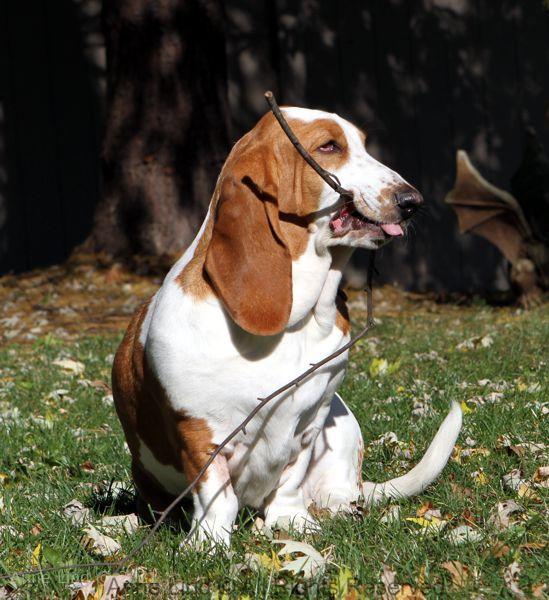 Naomi playing stick