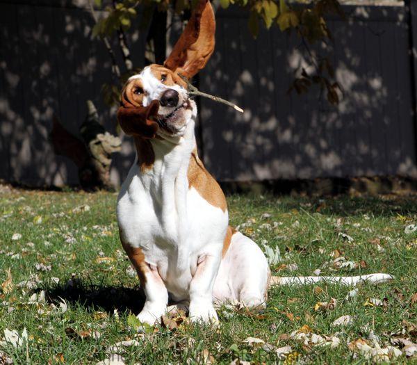 Naomi playing stick