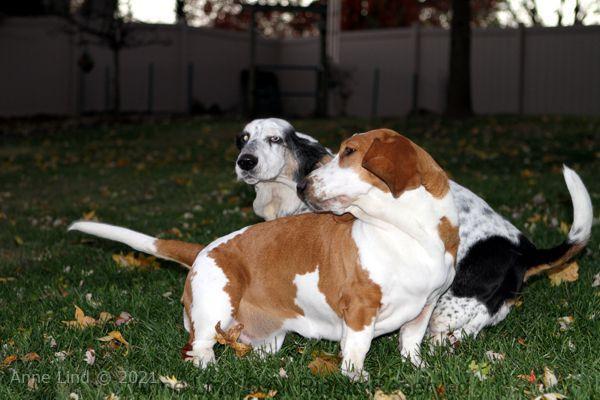 Izzi and Naomi