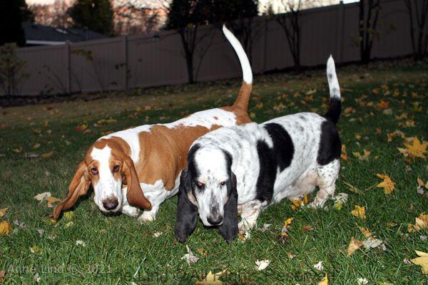Izzi and Naomi