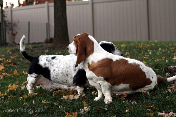 Izzi and Naomi