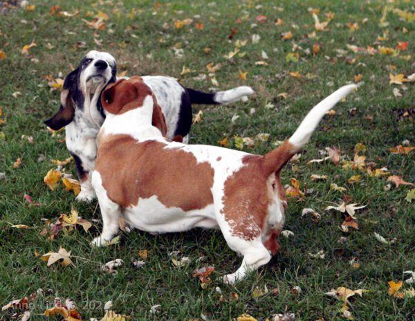 Izzi and Naomi