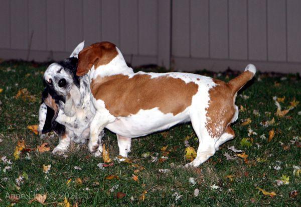 Izzi and Naomi