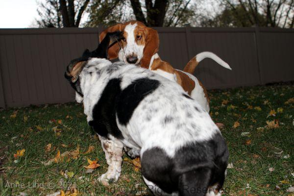 Izzi and Naomi