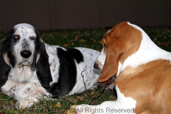 Izzi and Naomi