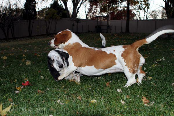 Izzi and Naomi