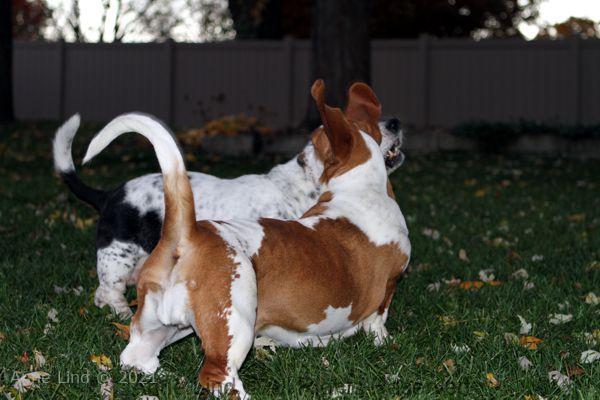 Izzi and Naomi
