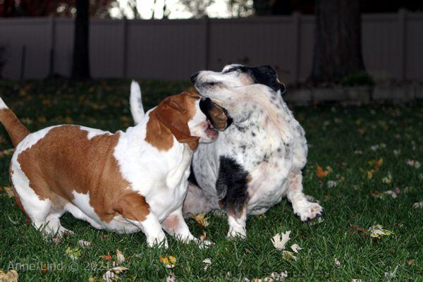 Izzi and Naomi