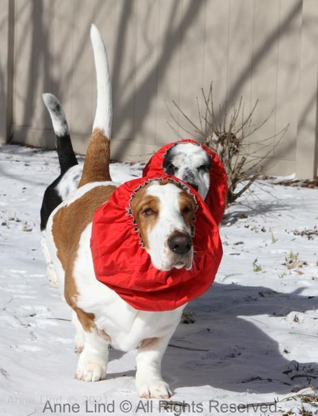 Izzi and Naomi in snoods